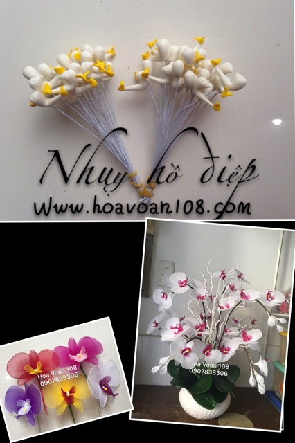 Nhuỵ lan