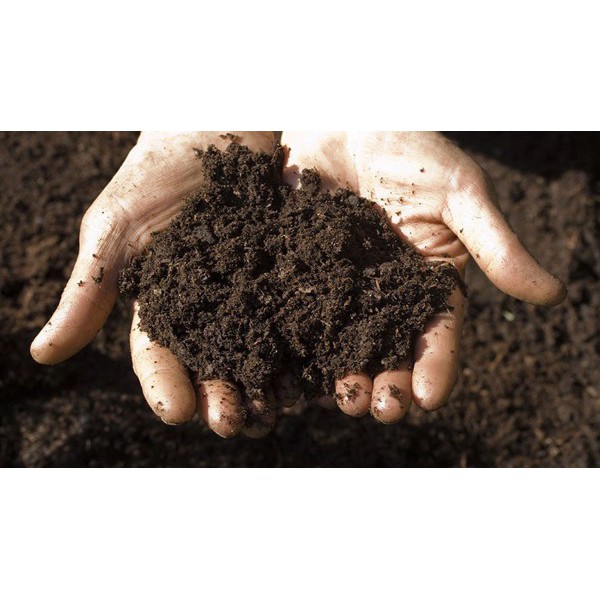 Phân bò khô đã qua xử lý dùng cho mọi loại cây trồng 3dm3