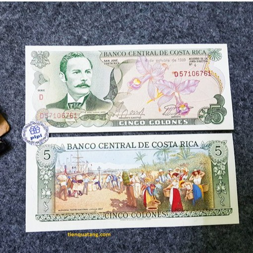 Tờ Mua May Bán Đắt Phong Thủy - 5 Colones Của Costa Rica | BigBuy360 - bigbuy360.vn