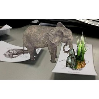 Bộ thẻ animal 4D