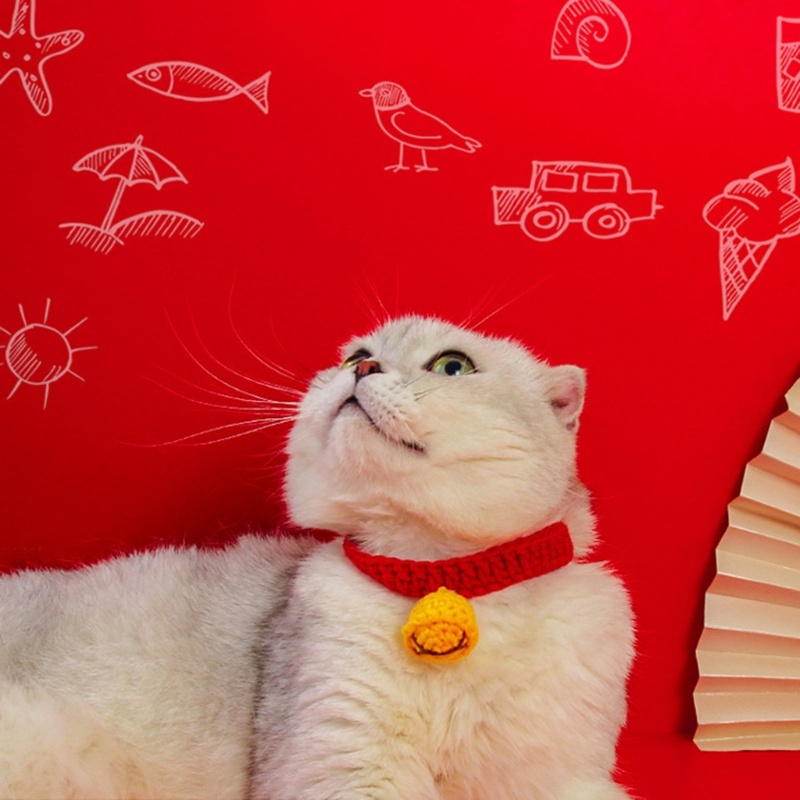 Vòng Cổ Dệt Kim Co Giãn Cao Bảo Vệ Cổ Dành Cho Thú Cưng