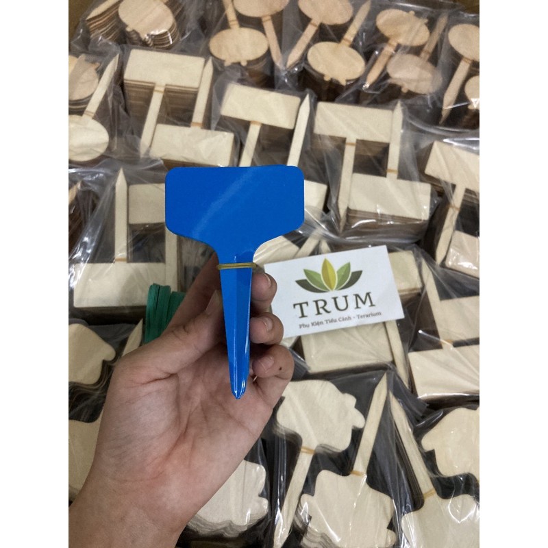 Bảng cấm màu 6x10cm - phụ kiện tranh trí tiểu cảnh terrarium