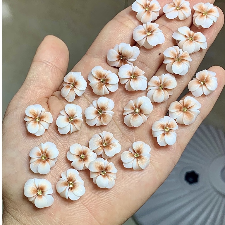 Hoa bột Nail - Hoa bột gắn móng nail [sẵn hàng]