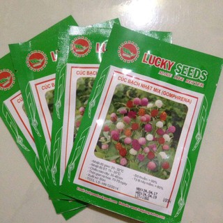 Hạt Giống Hoa Cúc Bách Nhật mix ( 50 hạt )