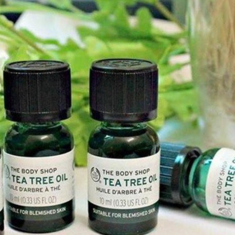 [Mã COS1904 giảm 8% đơn 300K] The Body Shop Tea Tree Oil - Tinh Dầu Tràm Trà Giảm Mụn 10ml | BigBuy360 - bigbuy360.vn