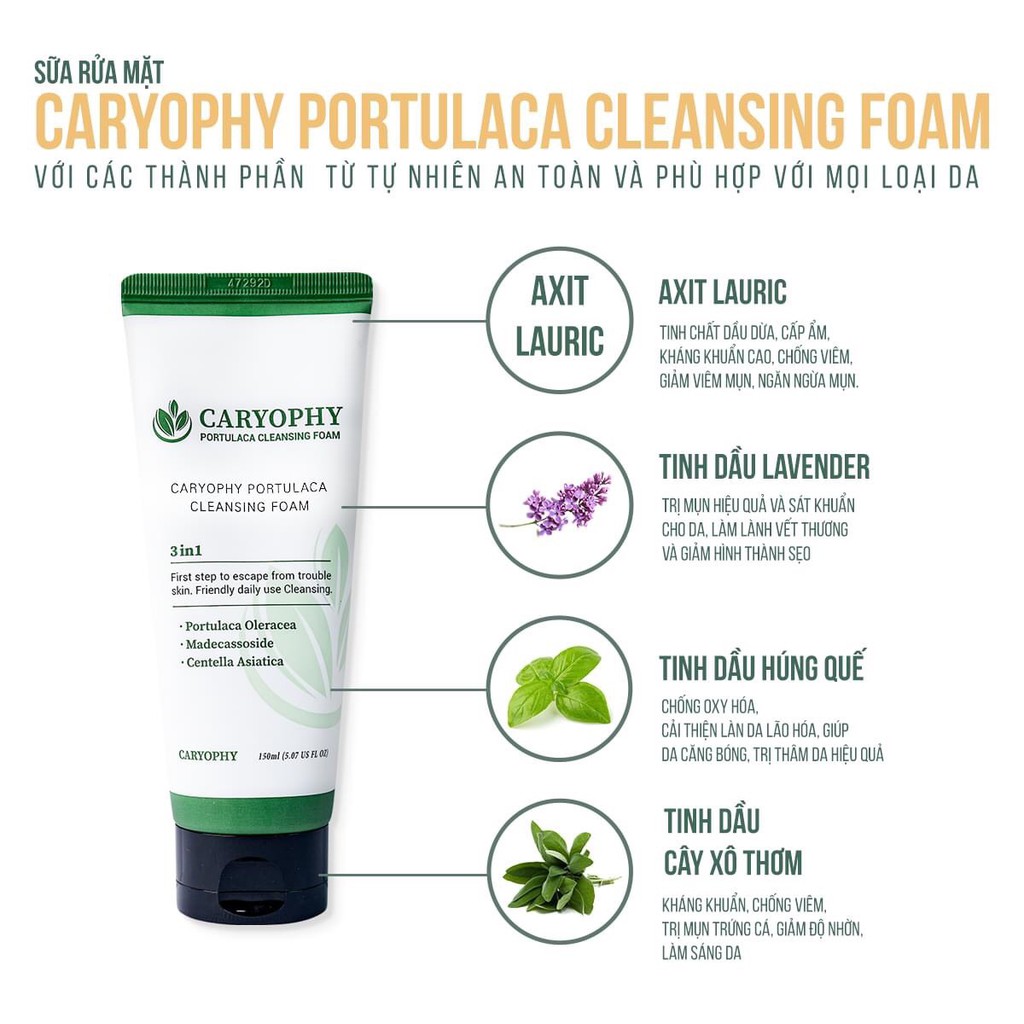 Bộ sản phẩm Caryophy giảm mụn mờ thâm(Sữa rửa mặt 150ml + Toner 300ml + Serum 10ml) | BigBuy360 - bigbuy360.vn