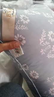 Đôi ruột gối ép hơi eve