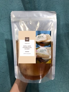 Con men Scoby và nước mồi làm trà Kombucha (NGUYÊN LIỆU 100% HỮU CƠ)