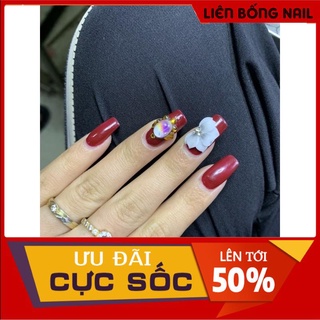Hoa cúc nhọn - Hoa bột nail