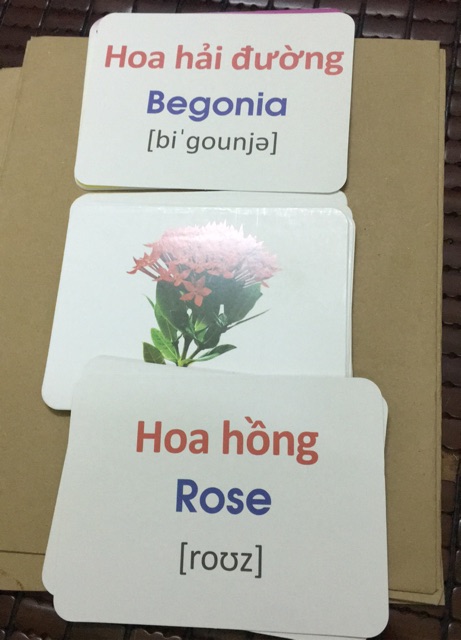 Flash card cho bé - thẻ học thông minh cho bé - chủ đề hoa ( BIBO )