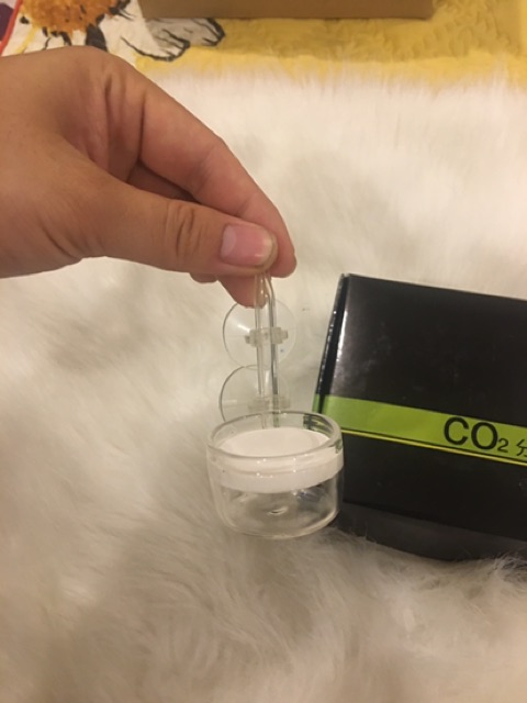 sủi co2 khiểu dàng ada