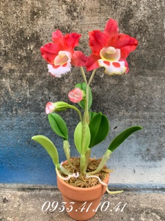 CHẬU HOA ĐẤT SÉT CAO 15-18CM