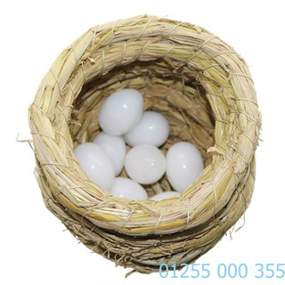 10 Quả Trứng Bồ Câu Nhựa.