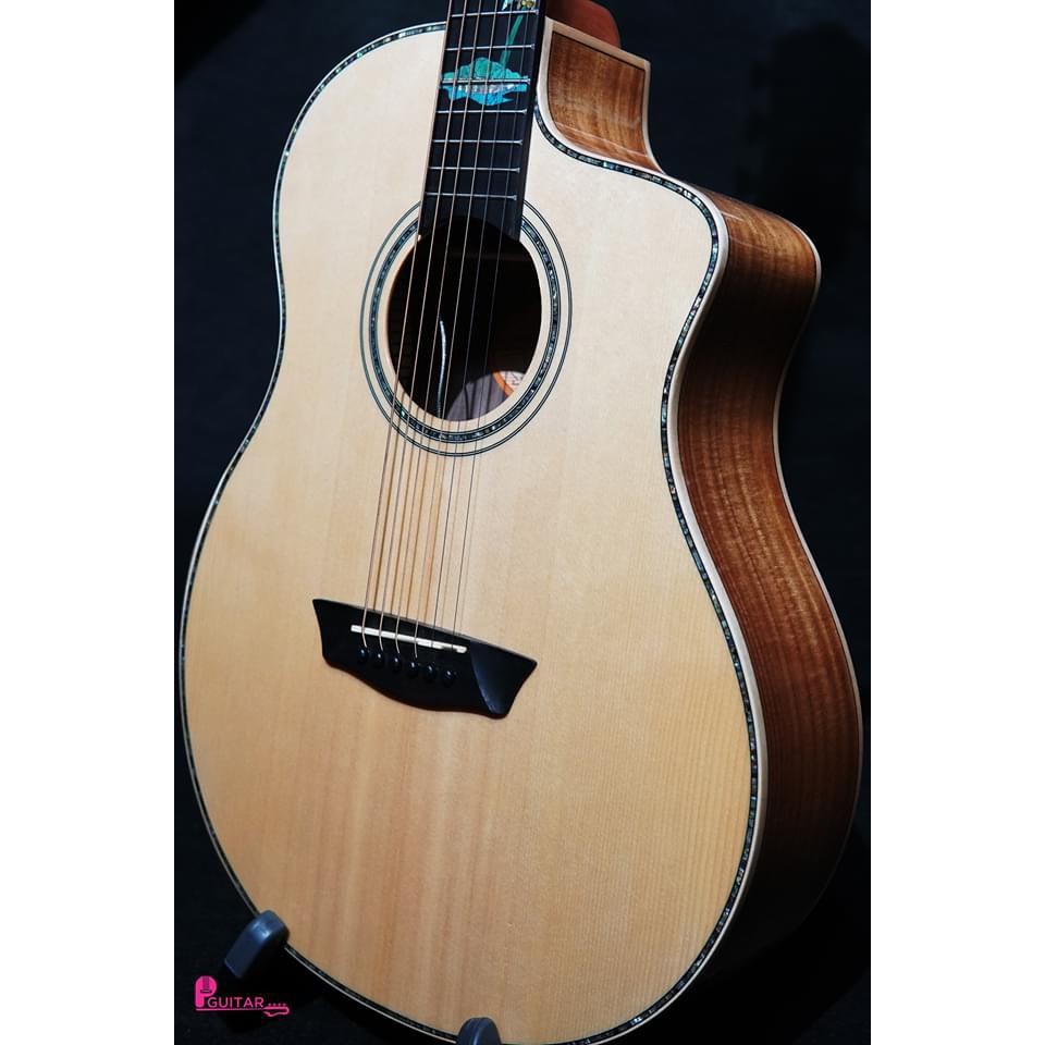 Đàn Guitar Acoustic Washburn BTSC56SCE có EQ NHẬP KHẨU - SOLG