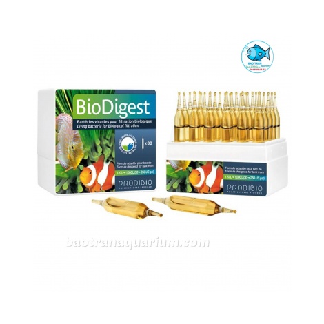 Vi sinh sống PRODIBIO BIODIGEST - PHÁP