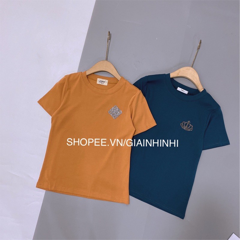 Áo phông fom vừa chất đẹp đính đá ngực, Áo thun cổ tròn ngắn tay AP1110 - NhiNhi Shop