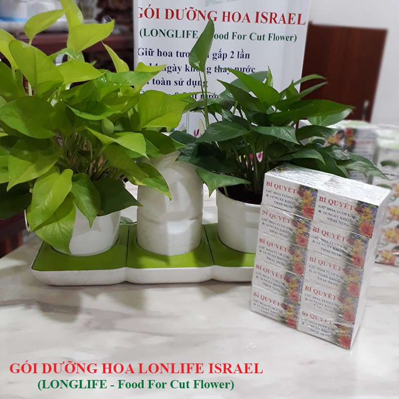 Bột Cắm Hoa LILY Tươi Lâu, Hiệu Longlife Israel, COMBO 100 gói, giúp hoa LILY tươi lâu và 14 ngày không thay nước mưới