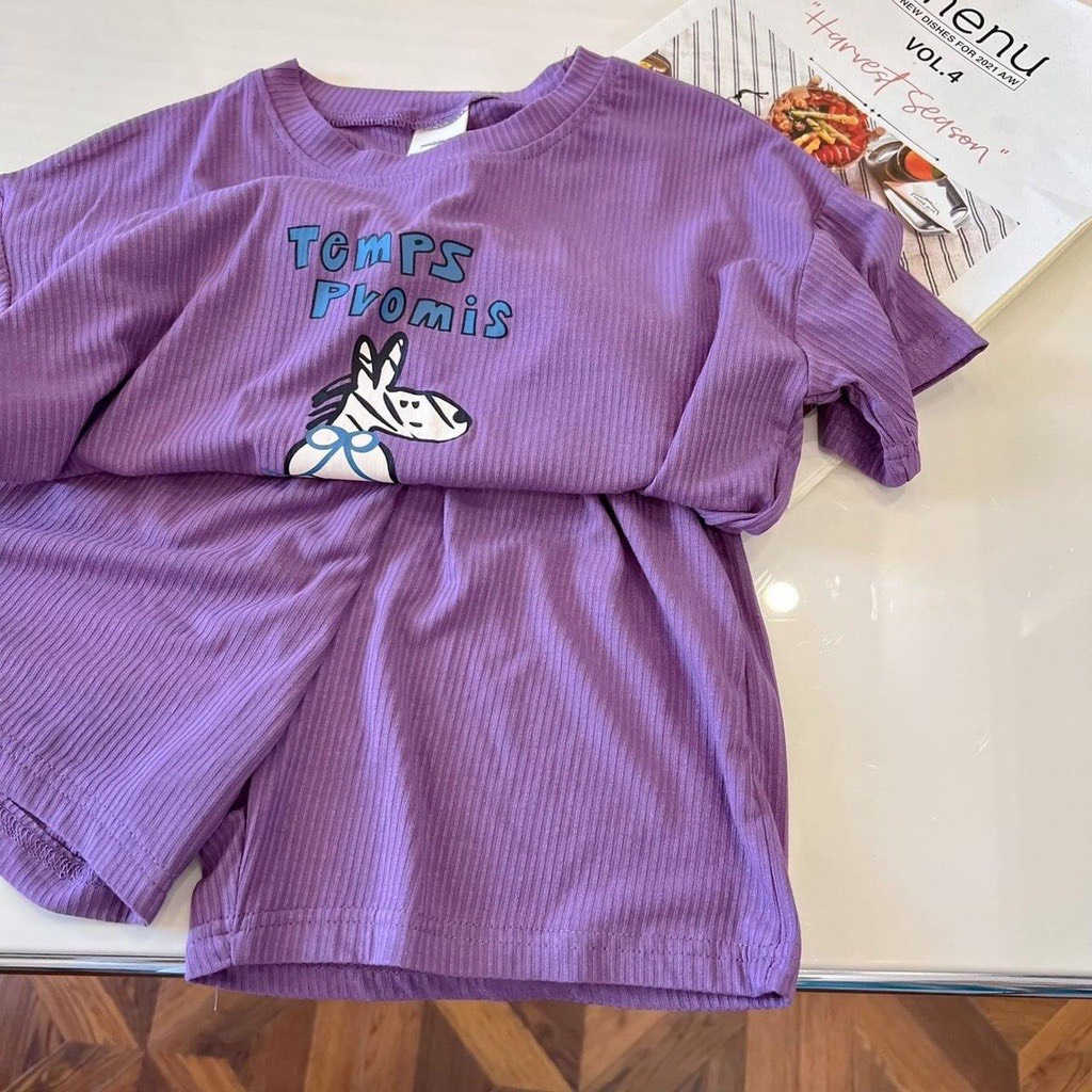 Bộ Cộc Tay Quần Ngố Bon Chun Chất Tăm Co Dãn Bốn Chiều Cho Bé Trai Bé Gái Từ 6Kg Đến 32Kg Thời Trang Trẻ Em Ken Store