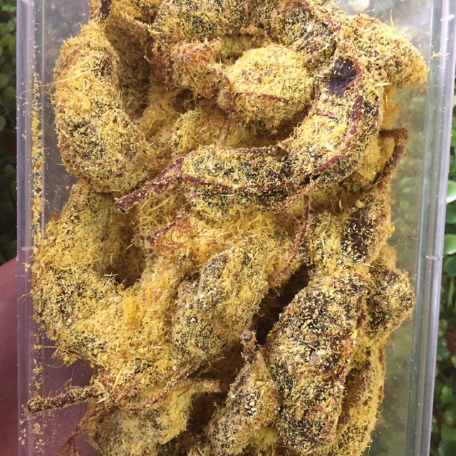 Ô mai Me gừng chua ngọt thơm siêu ngon- Gói 1kg