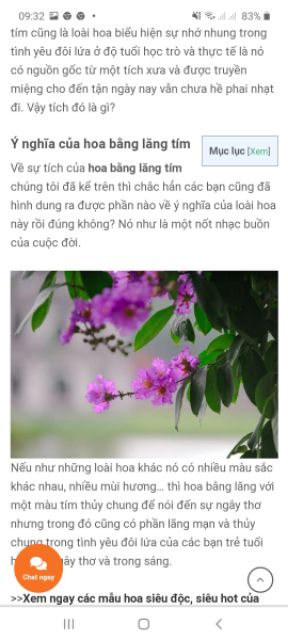 Cây giông bằng lăng tím