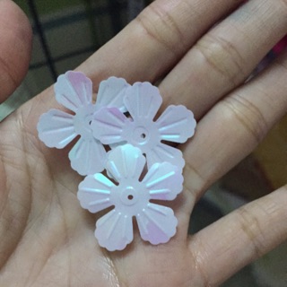 Combo hàng chân châu