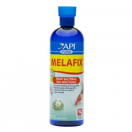 Api Melafix Pond 473ml - Diệt Nấm Và Khuẩn Hại Cho Cá Rồng, Koi