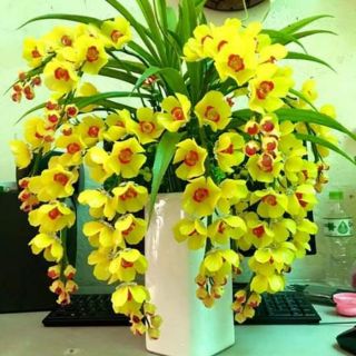 Combo bộ nguyên liệu hoa đá pha lê