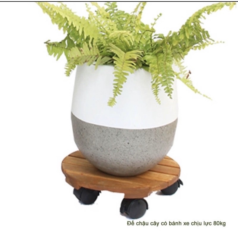 Đế gỗ để châu cây có 4 bánh xe- kệ giá đỡ chậu cây hoa cây cảnh.