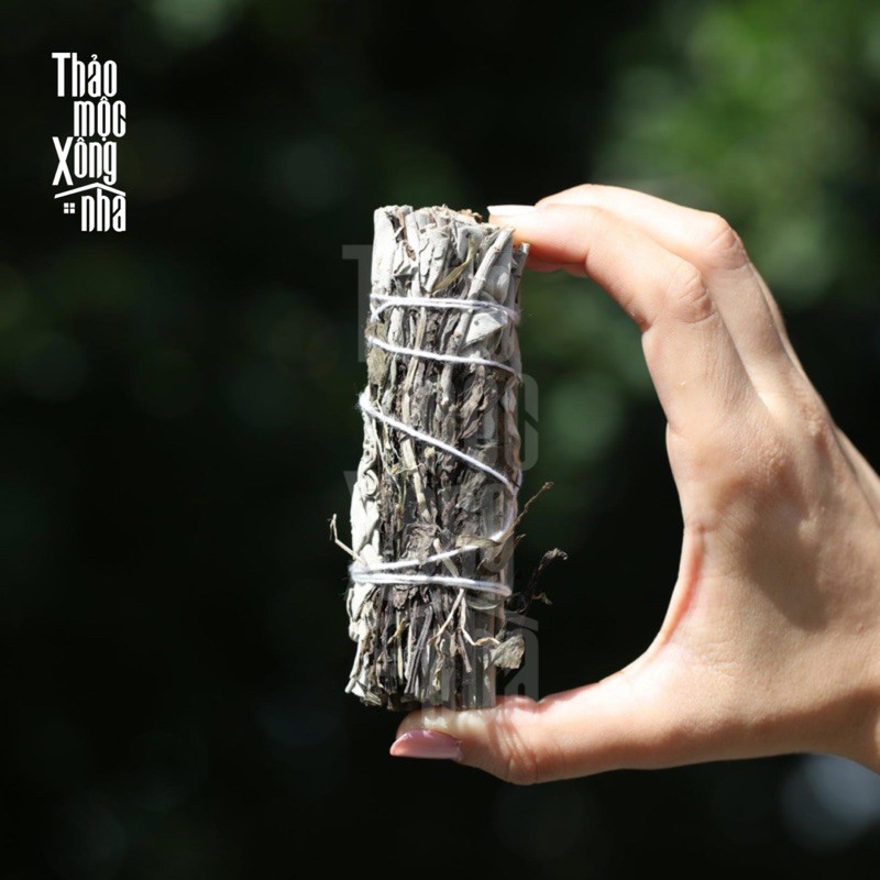 XÔ MAY MẮN mang lại sự thịnh vượng, sung túc, thu hút của cải ( White sage mix Peppermint ) - THẢO MỘC XÔNG NHÀ