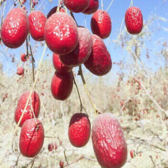 Táo đỏ Tân Cương loại 1 gói 1kg táo đỏ khô