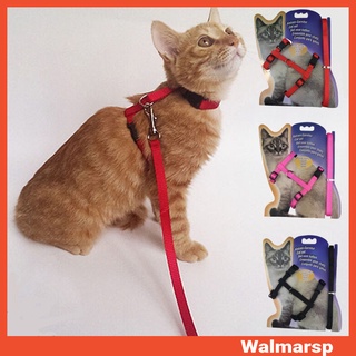 Dây xích mèo bằng nylon an toàn