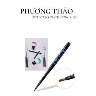 Cây cọ vẽ móng , cọ vẽ hoa cúc dingxi