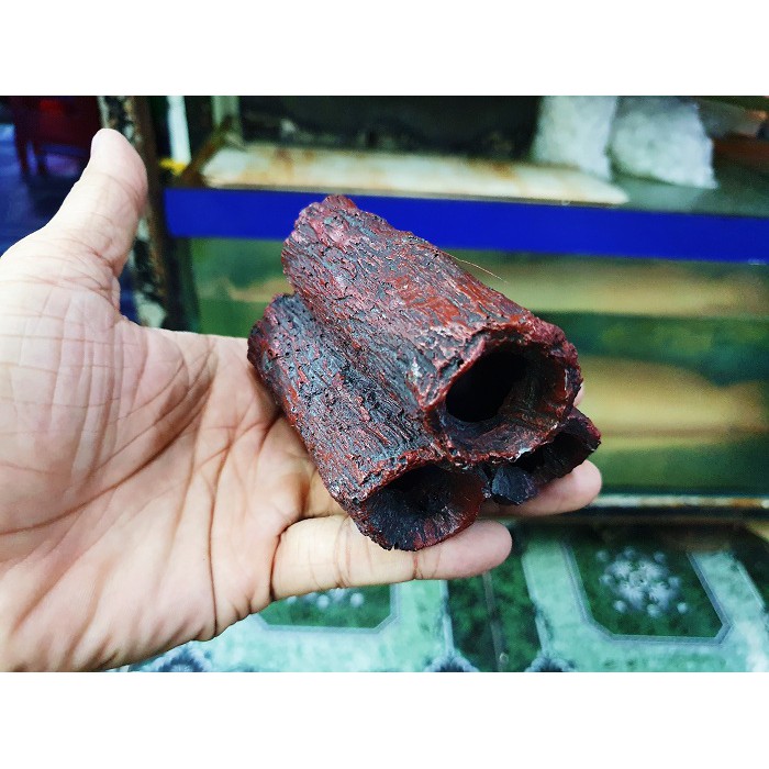 3 KHÚC CÂY GIẢ TRANG TRÍ HỒ CÁ CHO TÔM TÉP 9X6X6CM