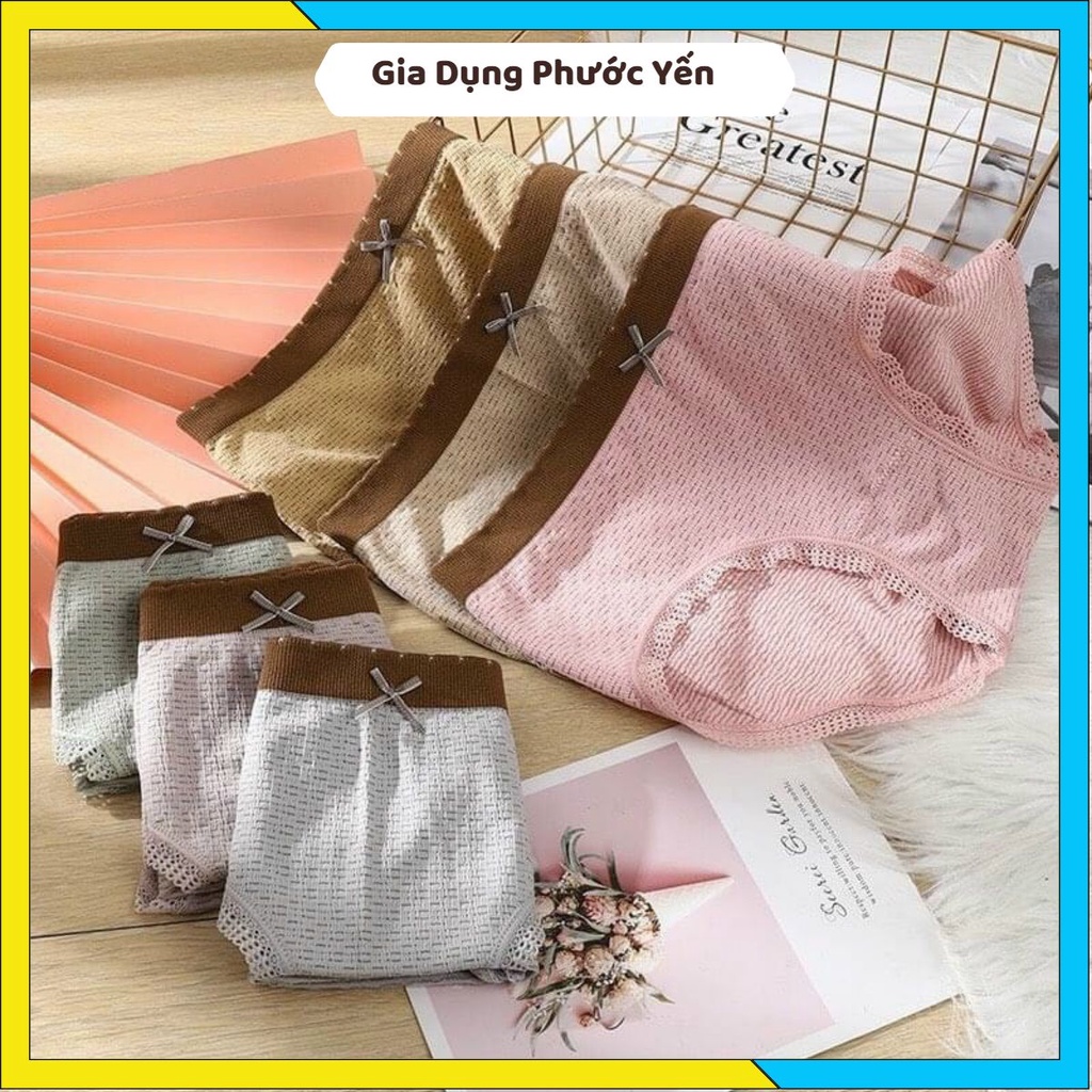 Quần lót nữ Cotton thông hơi viền nâu đính nơ co giãn 4 chiều 3313