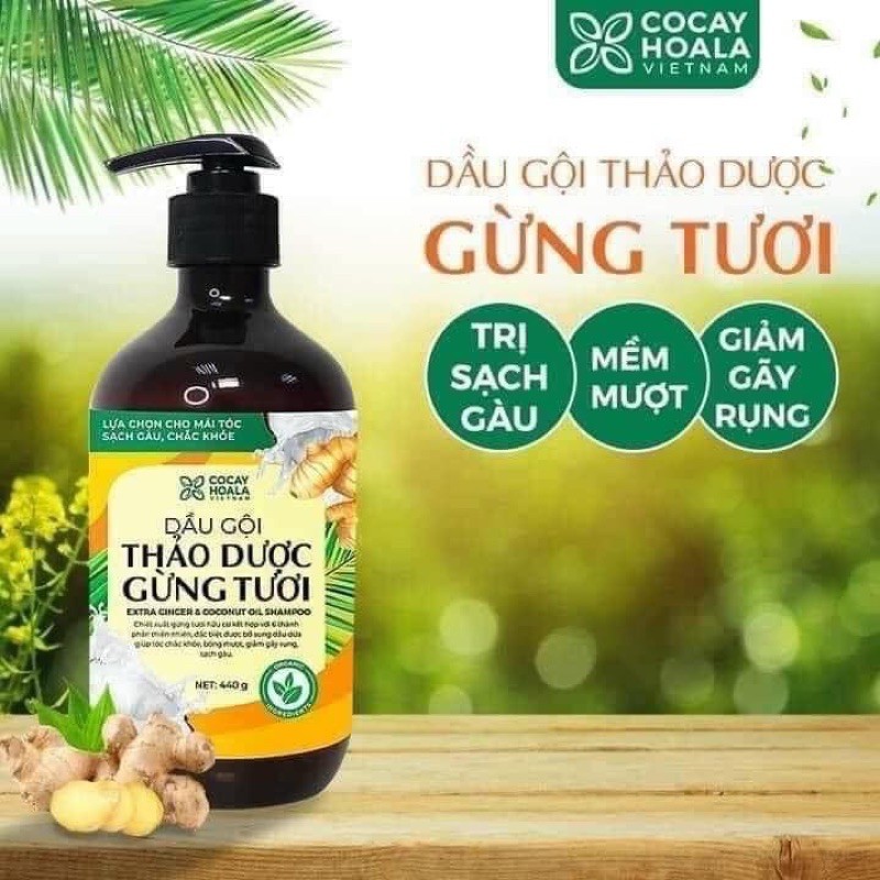 Dầu gội ngăn rụng tóc, giảm gàu Gừng Dừa Cỏ Cây Hoa Lá - kèm dầu xả