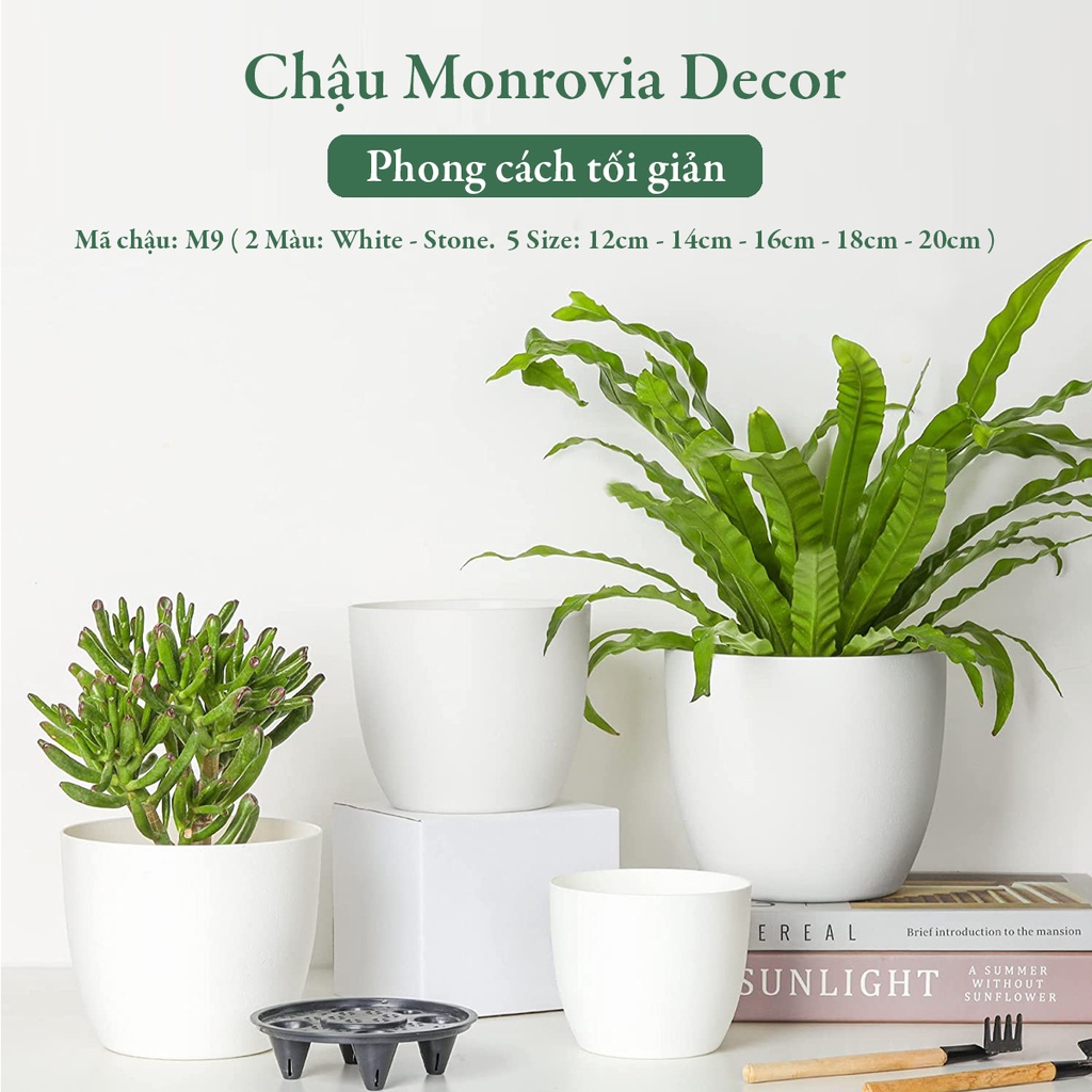 Chậu trồng cây mini MONROVIA cho sen đá, cây cảnh, hoa nhí, xương rồng, bonsai để bàn, ban công