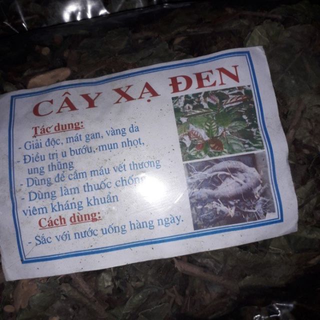 Cây xạ đen