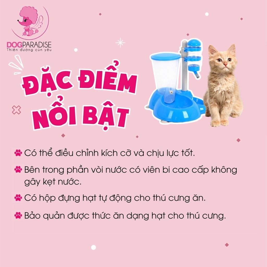 Bộ bình nước tự động và hộp đựng thức ăn Pian Pian đa năng tiện lợi cho mèo 4 màu - Dog Paradise