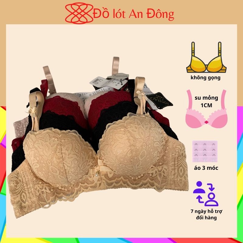 Áo ngực nữ không gọng nâng ngực ren mút vừa, Áo lót nữ Size 34 36 38 , đồ lót An Đông, ANTXE
