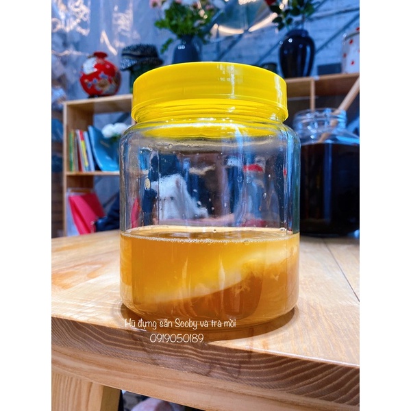 Combo tự làm trà Kombucha tại nhà