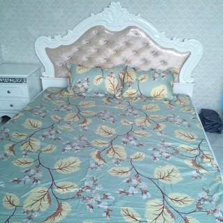 BỘ GA GỐI COTTON POLY