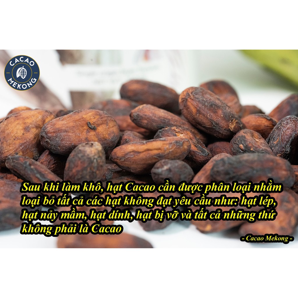 Hạt Cacao Khô Lên Men Tự Nhiên Nguyên Chất 100%