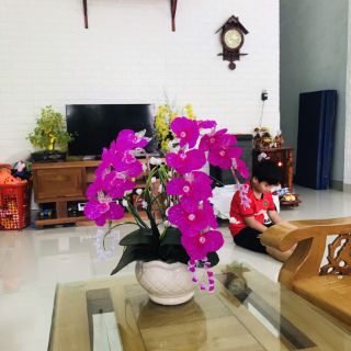 Hoa Lan pha lê