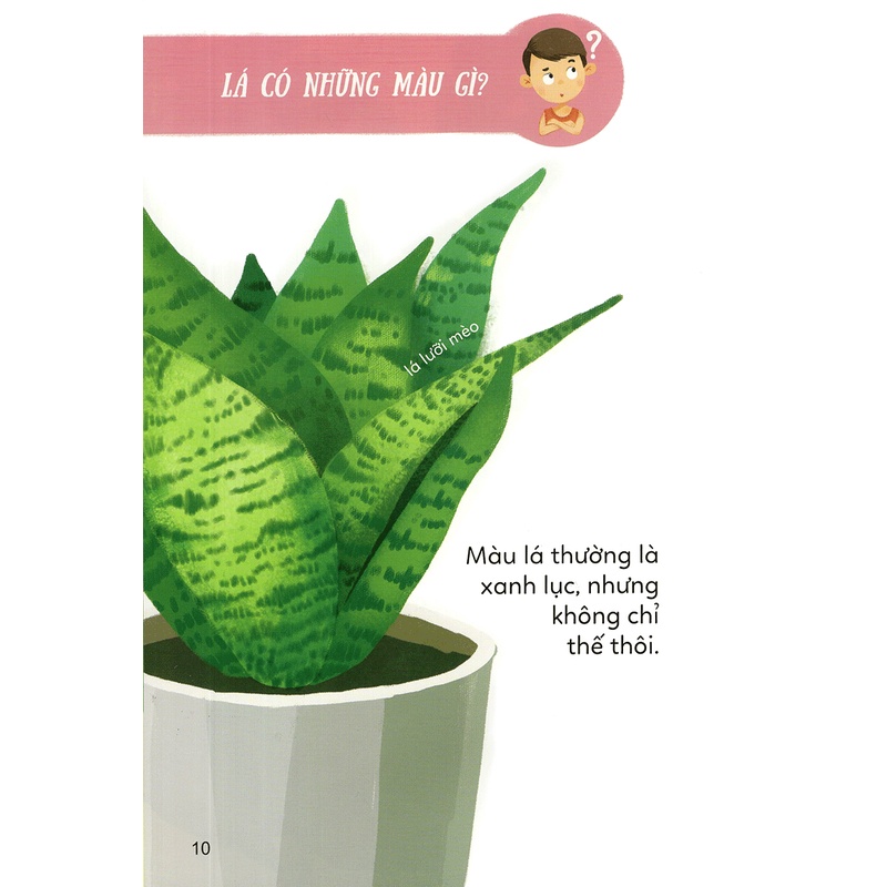 Sách Bé Khám Phá Thế Giới Thực Vật - Đẹp Quá Lá Ơi!
