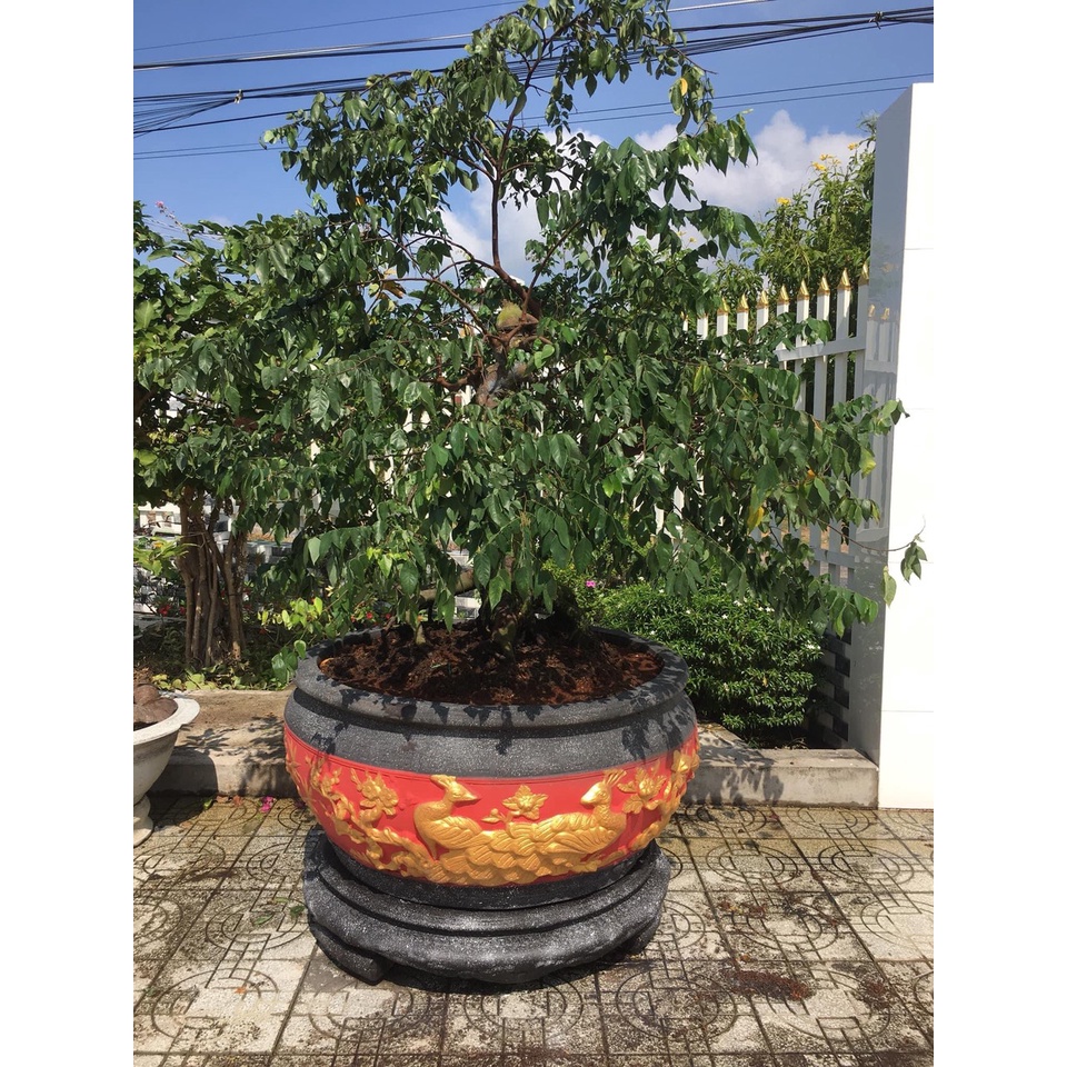 Khuôn đúc chậu tròn chum 1.2m cao 80cm nhựa composite