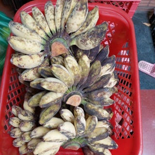 chuối sáp nghệ dẻo