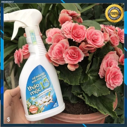 Thảo Mộc 10s - Xịt Chống MUỖI, KIẾN, GIÁN - An toàn trẻ nhỏ, thân thiện môi trường - Thuốc diệt gián côn trùng dạng xịt