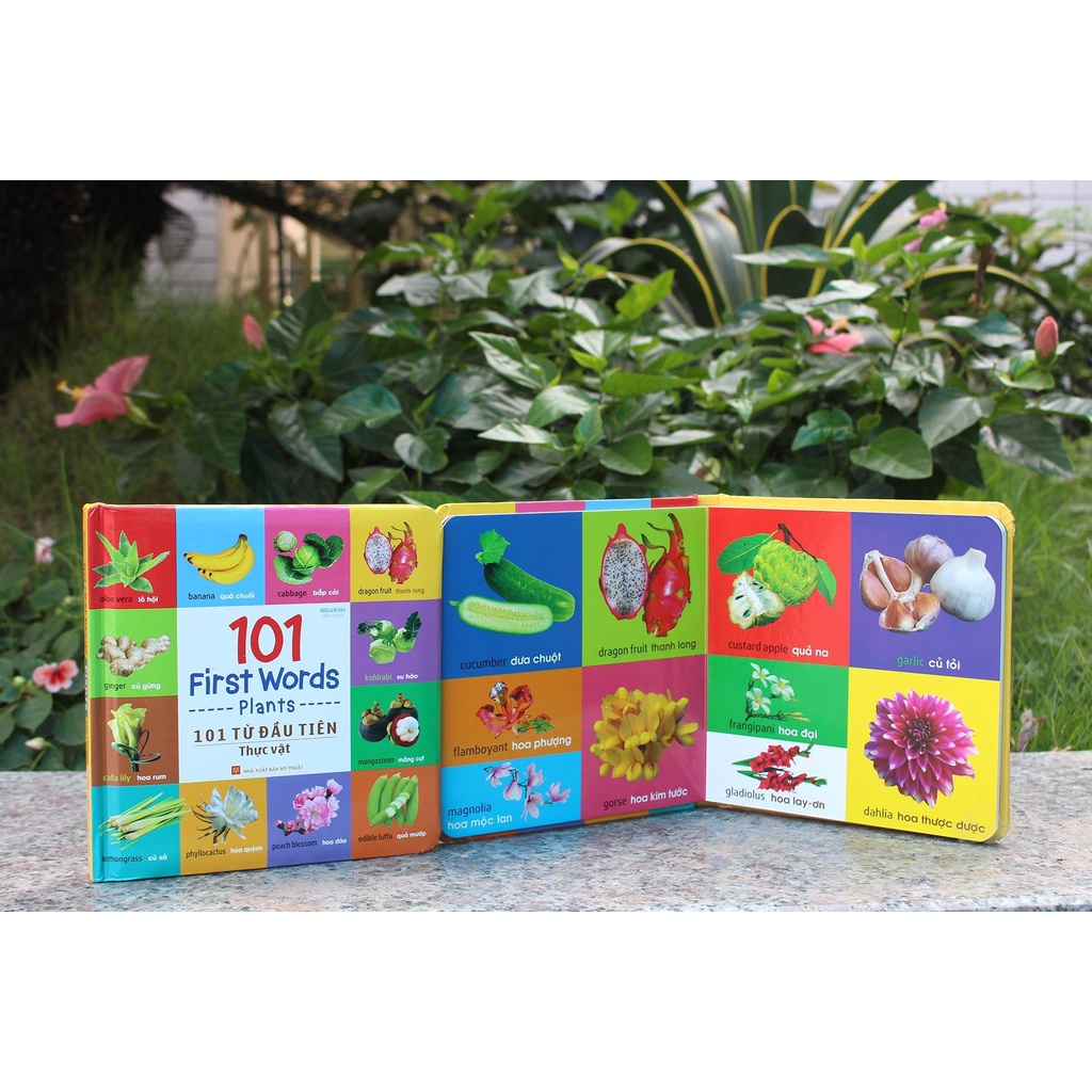 Sách: 101 First Words - 101 Từ Đầu Tiên: Thực Vật (Tái Bản)
