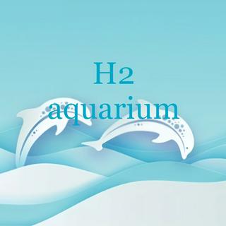 H2 aquarium