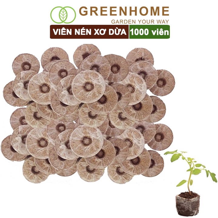 Viên nén xơ dừa, thùng 1000 viên, ươm hạt giống, trồng cây, ươm hạt, ươm cây giống, trồng dâu tây, thuỷ canh |Greenhome